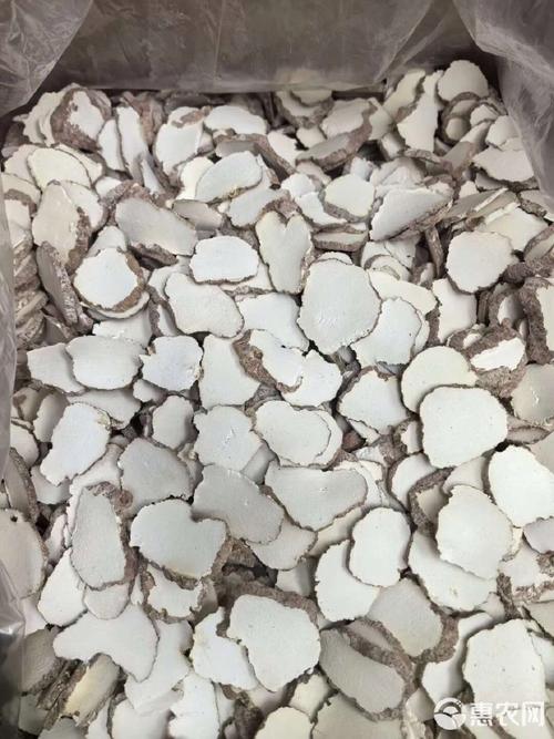 虎乳菌片 来自深山的滋补珍品，中小片初级农产品的养生之道