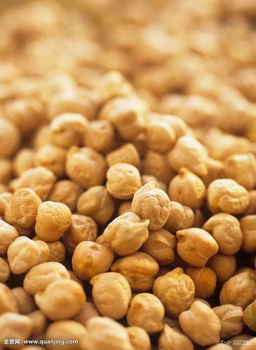 chick peas500g土耳其三角豆 鹰嘴豆 豆类 五谷杂粮初级农产品