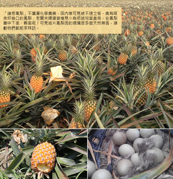 kaiyun开云网页版