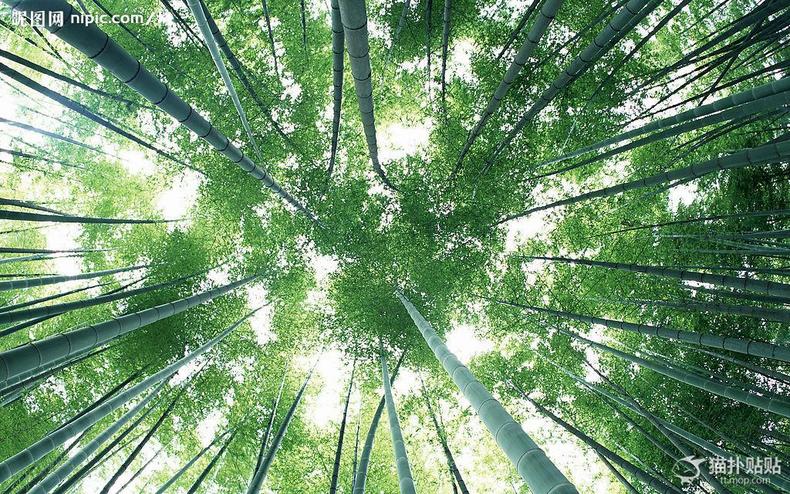 kaiyun开云官方在线登录