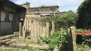 “kaiyun开云网页版”南美木材以红檀香和绿檀为热点(图3) kaiyun开云官方在线登录