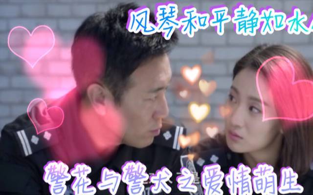 kaiyun开云网页版:华东地区海关对赞比亚紫檀估值统一提升至2000美金(图2) kaiyun开云网页版