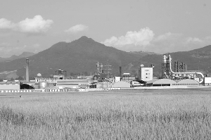 kaiyun开云网页版:华东地区海关对赞比亚紫檀估值统一提升至2000美金(图3) kaiyun开云网页版