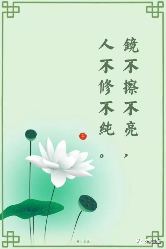 kaiyun开云网页版_刺猬紫檀新货入市量大幅减少(图2) kaiyun开云网页版