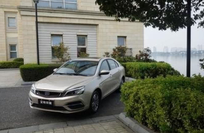 俄罗斯林业面临非法采伐和缺乏有效造林两大挑战:kaiyun开云网页版