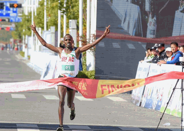 “kaiyun开云网页版”欧洲材市场调查:榉木市场需求量下行(图2) kaiyun开云网页版