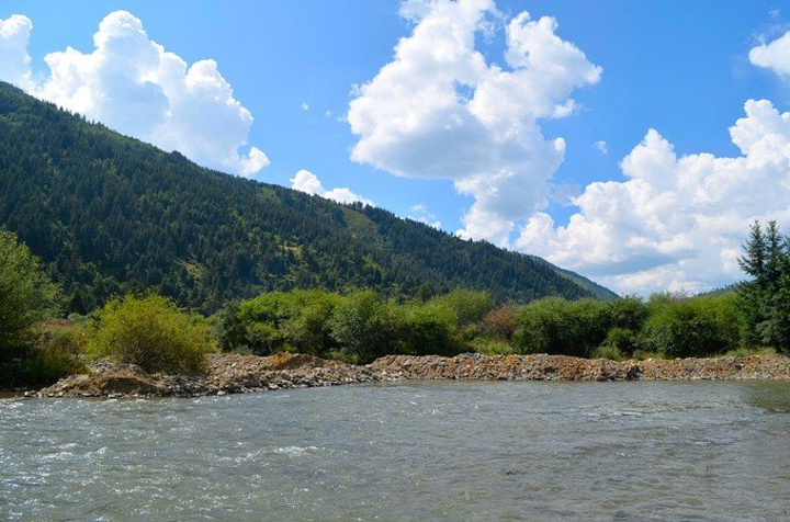 kaiyun开云官方在线登录:赛萝芷软胶囊 延缓衰老