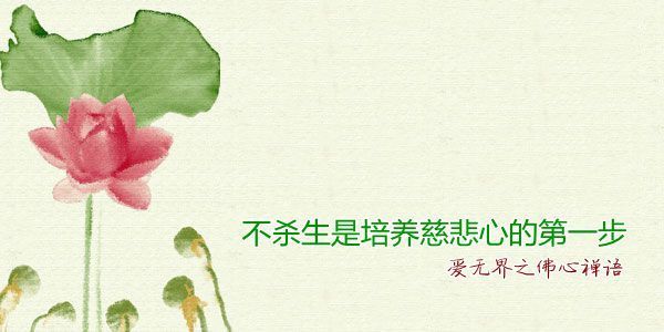 kaiyun开云网页版-用眼不当致沪上青少年近视治疗“爆棚”