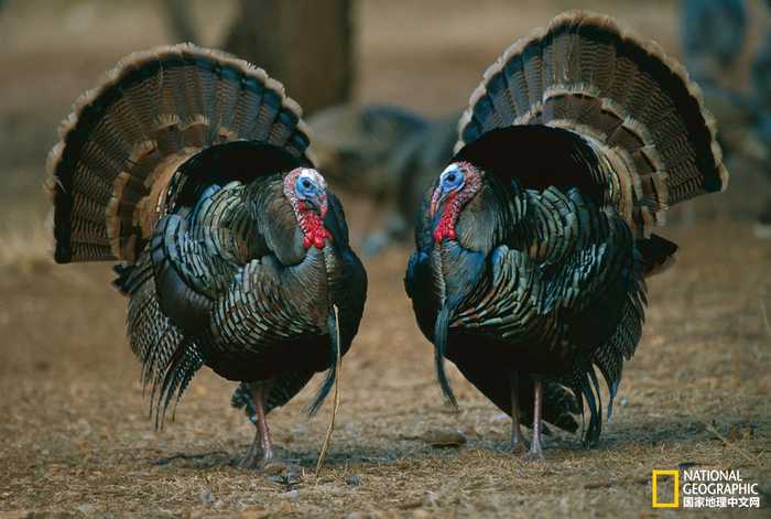 kaiyun开云网页版|网络写手猝死再次敲响健康的警钟(图2) kaiyun开云官方在线登录