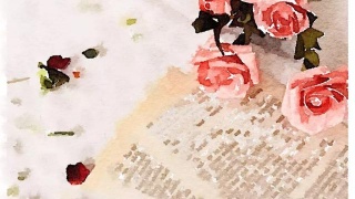 中国十大板材品牌百的宝:卧室放衣柜不吃灰也不占地的是这样子的-kaiyun网页登录入口