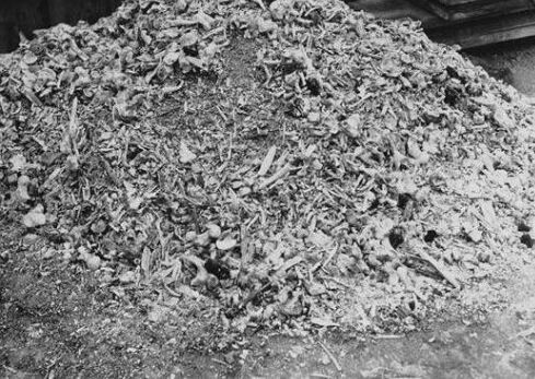 kaiyun开云官方在线登录