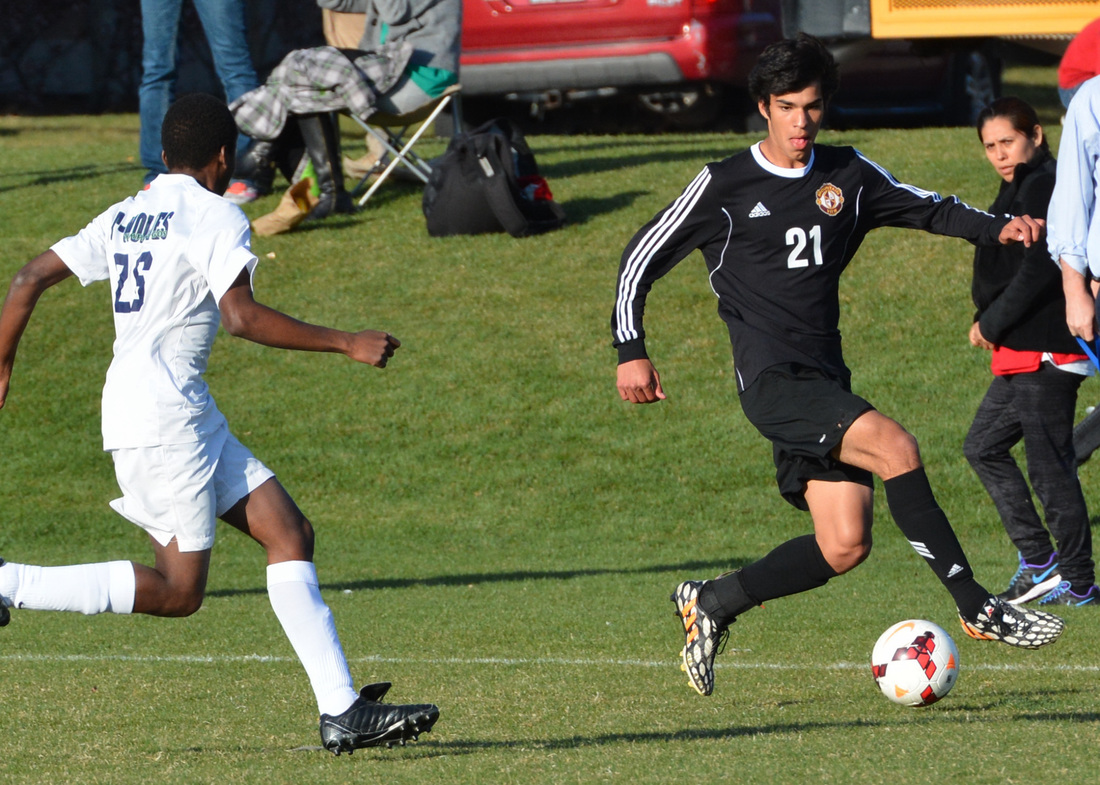 【kaiyun开云网页版】2017年中国进口桦木原木达191.7万立方米