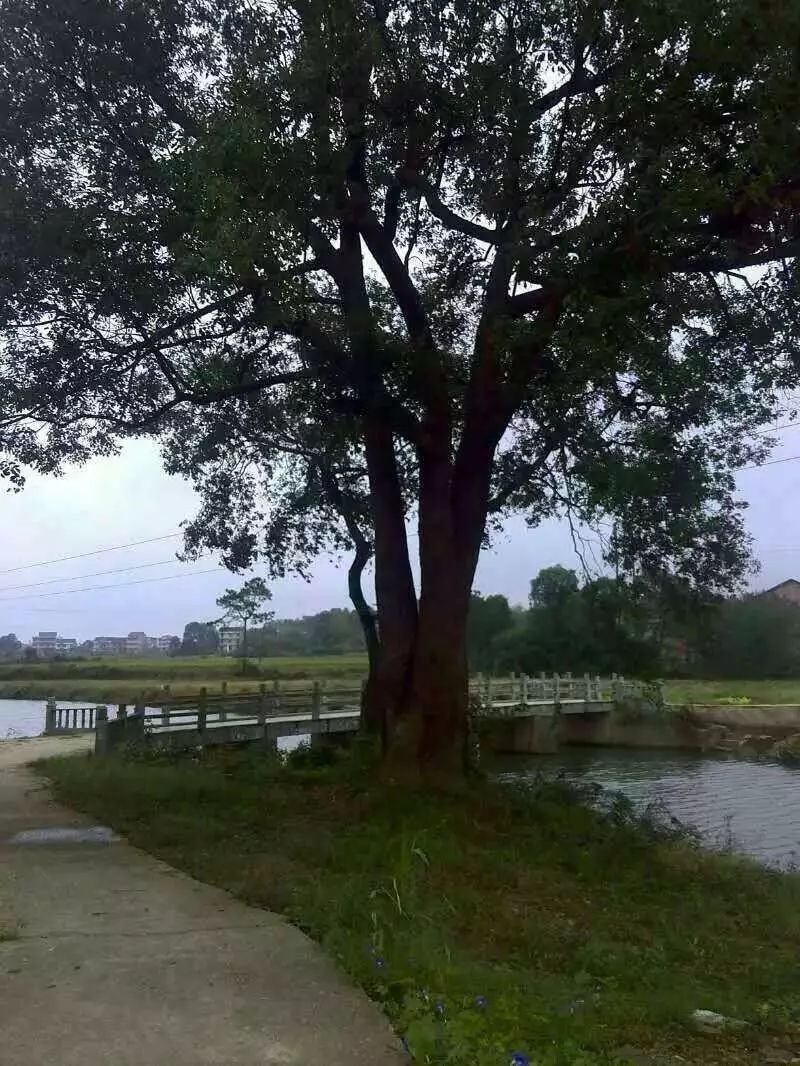 【kaiyun开云官方在线登录】研究发现：每天坚持15个俯卧撑保住性能力