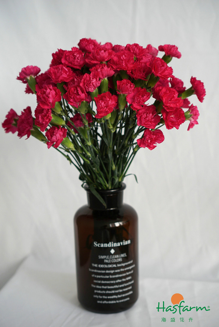 【kaiyun网页登录入口】马来西亚木材行业外国劳工问题将得到缓解(图2) kaiyun网页登录入口