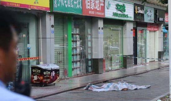 kaiyun开云官方在线登录|钟山县职校学生在2019年中国—东盟职业教育联展暨论坛中尽展风采