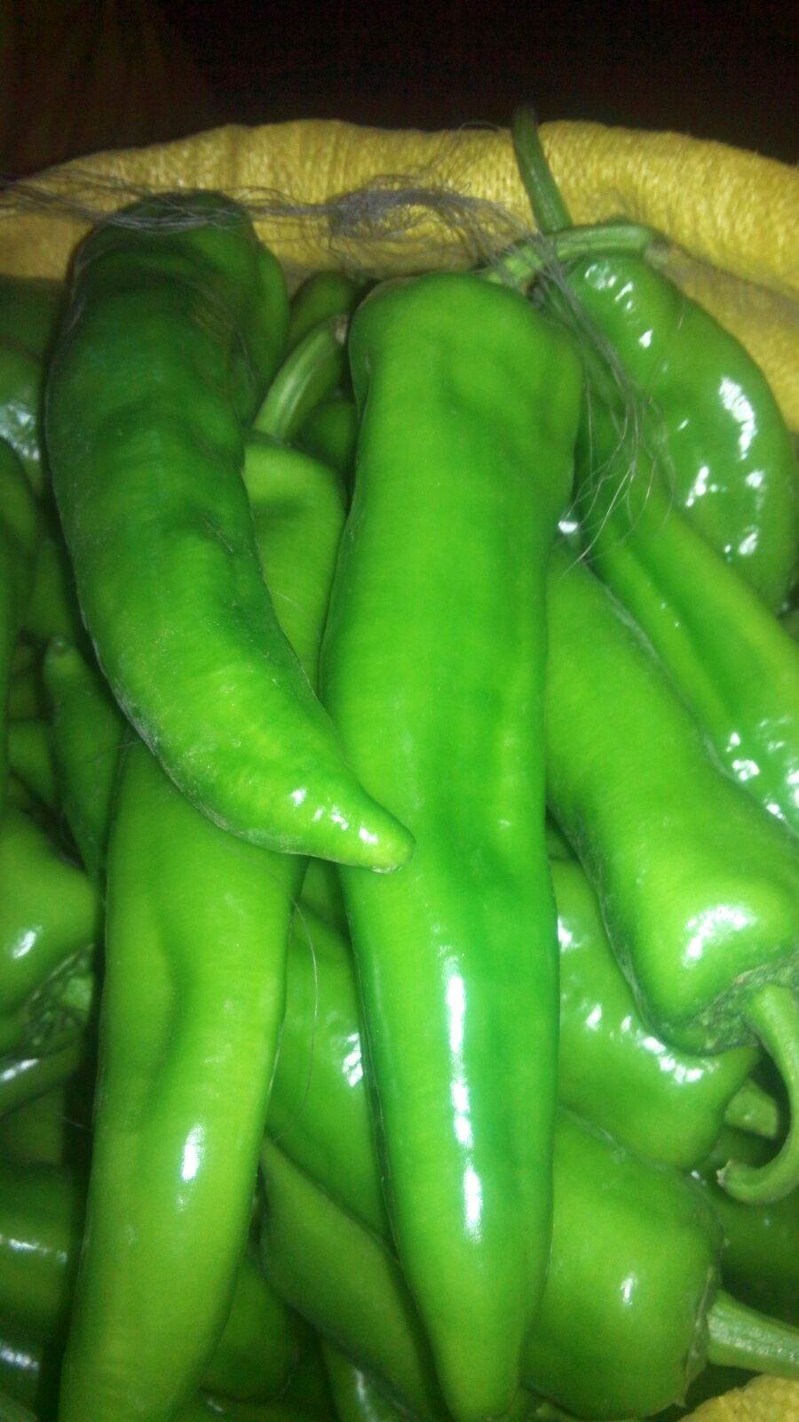 “kaiyun开云网页版”中美“贸易大战”打响，木板行业恐受波及