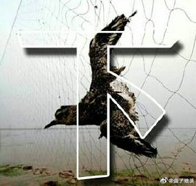 “红马褂”——两安瑶寨里最靓丽的一道风景线“kaiyun开云官方在线登录”