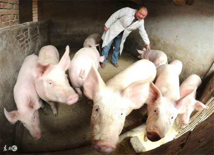 【kaiyun开云官方在线登录】钟山县:化财政支出结构,保障民生支出(图2) kaiyun开云网页版