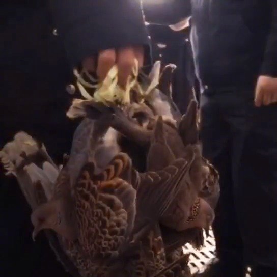 郭百年牌海参 强精得肾:kaiyun网页登录入口(图3) kaiyun开云网页版