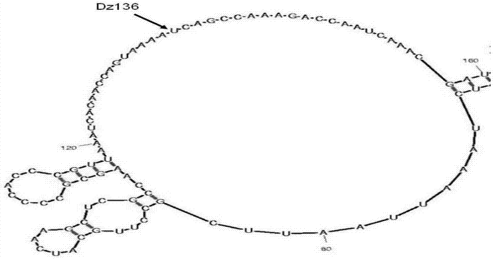 kaiyun开云官方在线登录