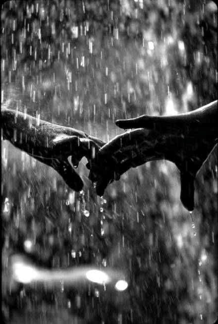 kaiyun网页登录入口