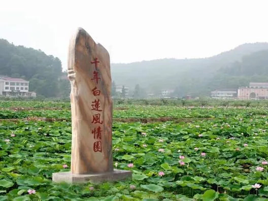 kaiyun网页登录入口