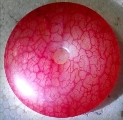 kaiyun开云网页版