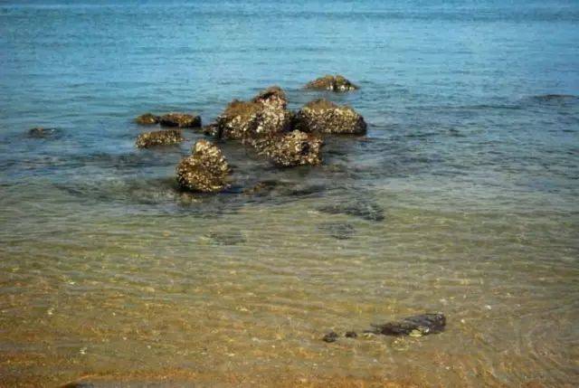 kaiyun开云官方在线登录