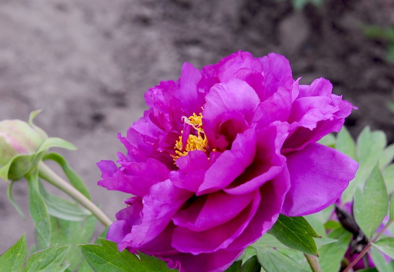 kaiyun网页登录入口