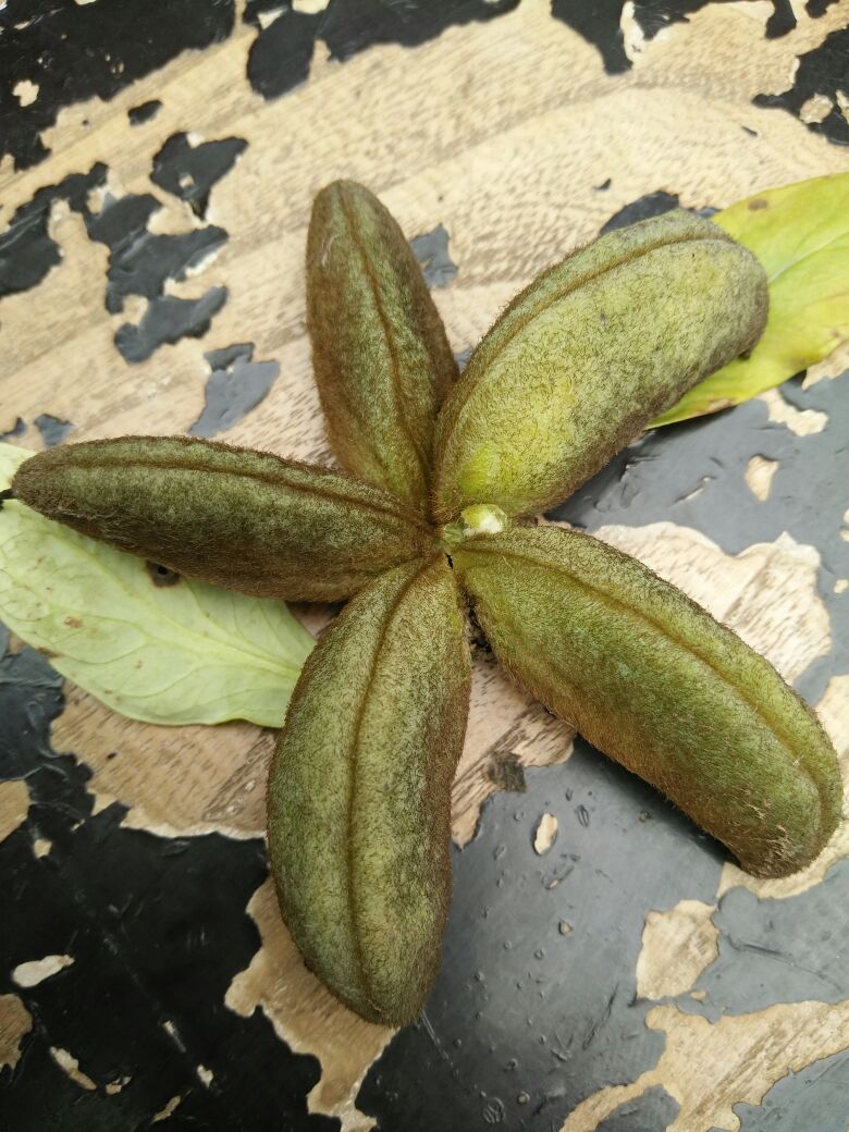 kaiyun网页登录入口