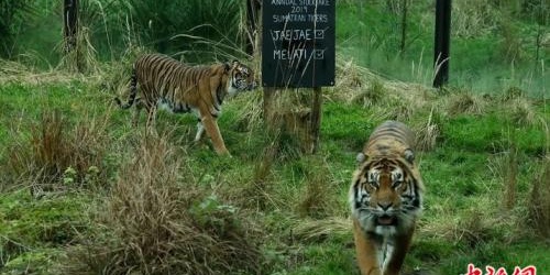 kaiyun开云官方在线登录