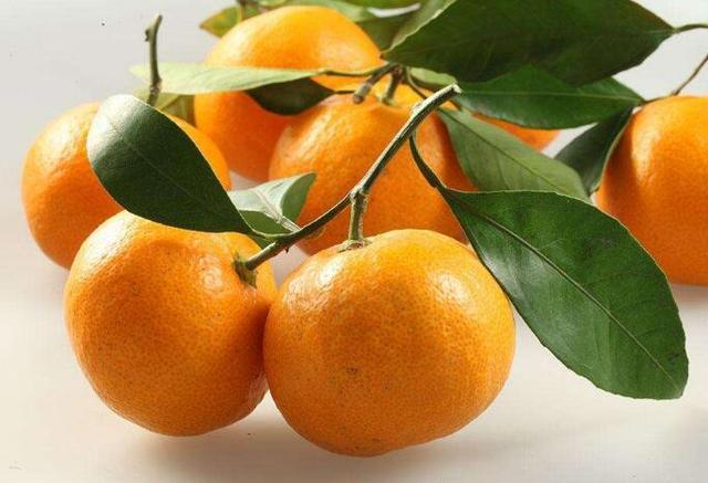 kaiyun开云网页版