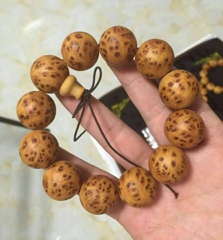 kaiyun网页登录入口