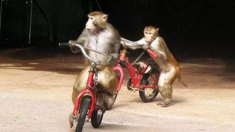 kaiyun开云网页版