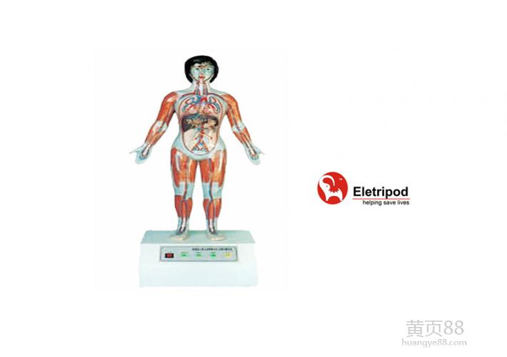 kaiyun开云官方在线登录|男性脱发患者增加 工作生活压力大是主因