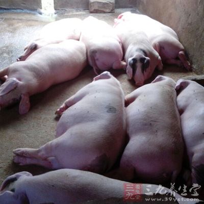 kaiyun开云网页版