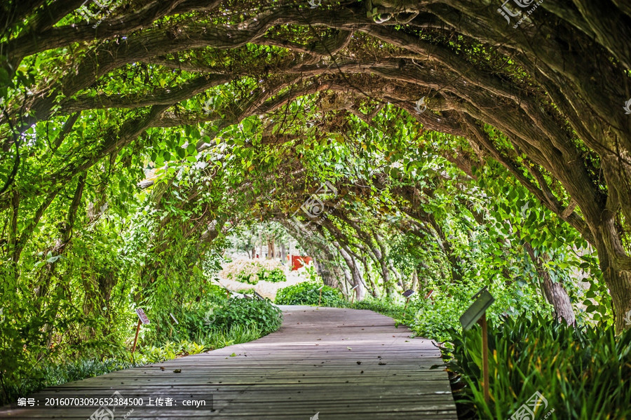kaiyun网页登录入口
