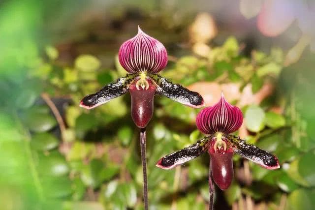 kaiyun开云官方在线登录