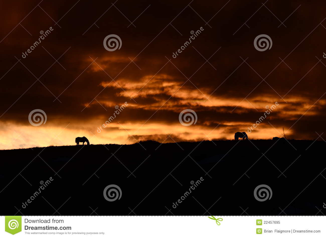 山药提取物 固体饮料代加工-kaiyun开云官方在线登录(图4) kaiyun开云网页版