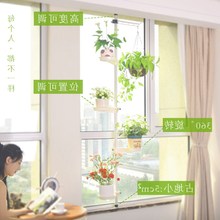 kaiyun网页登录入口|不吃蔬菜只吃肉和海鲜 肠癌打破了她的留学梦(图4) kaiyun网页登录入口