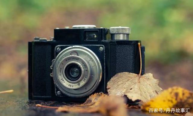 ‘kaiyun开云网页版’印度进口原料国礼辣木叶片 预防各种疾病(图1) kaiyun网页登录入口