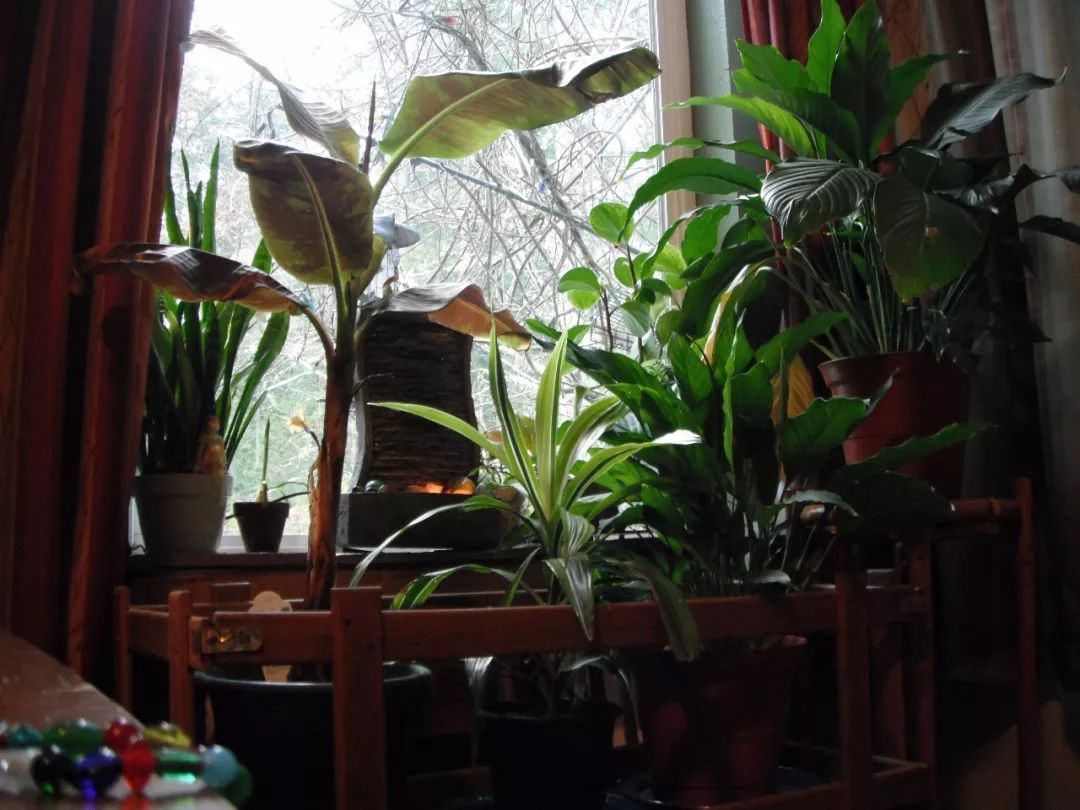 kaiyun开云官方在线登录