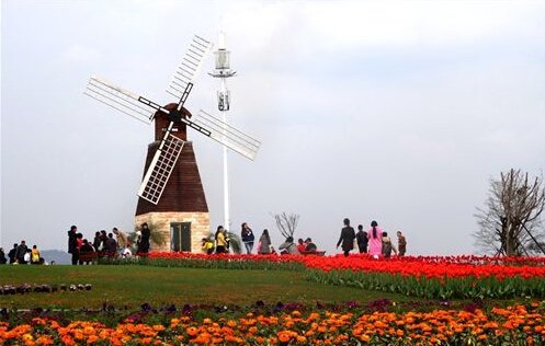 kaiyun开云网页版