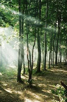 kaiyun开云网页版