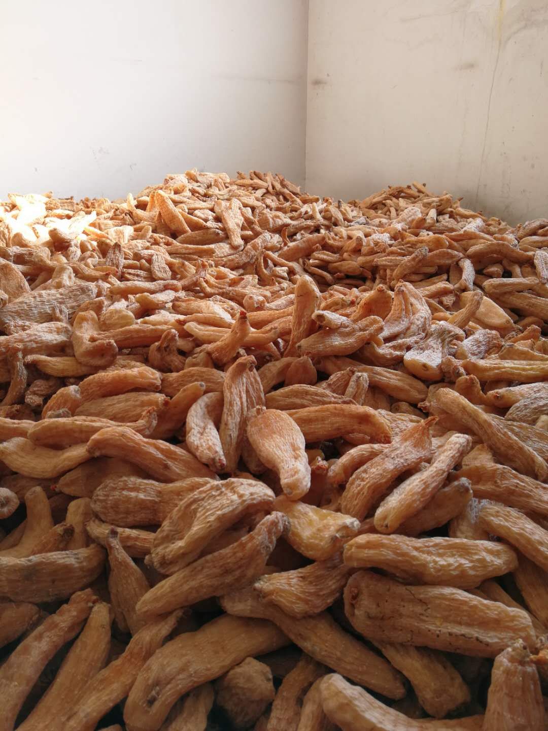 kaiyun开云官方在线登录