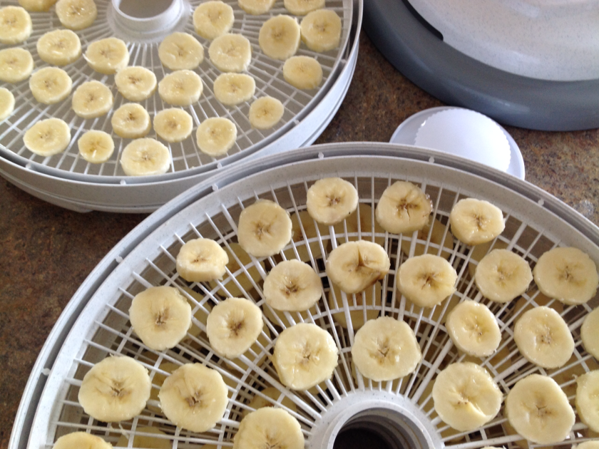 kaiyun网页登录入口