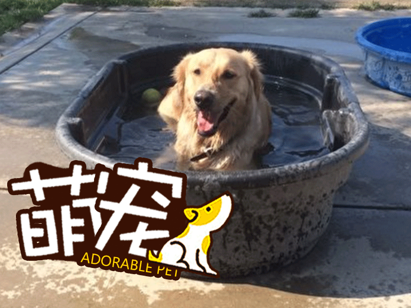 kaiyun开云官方在线登录