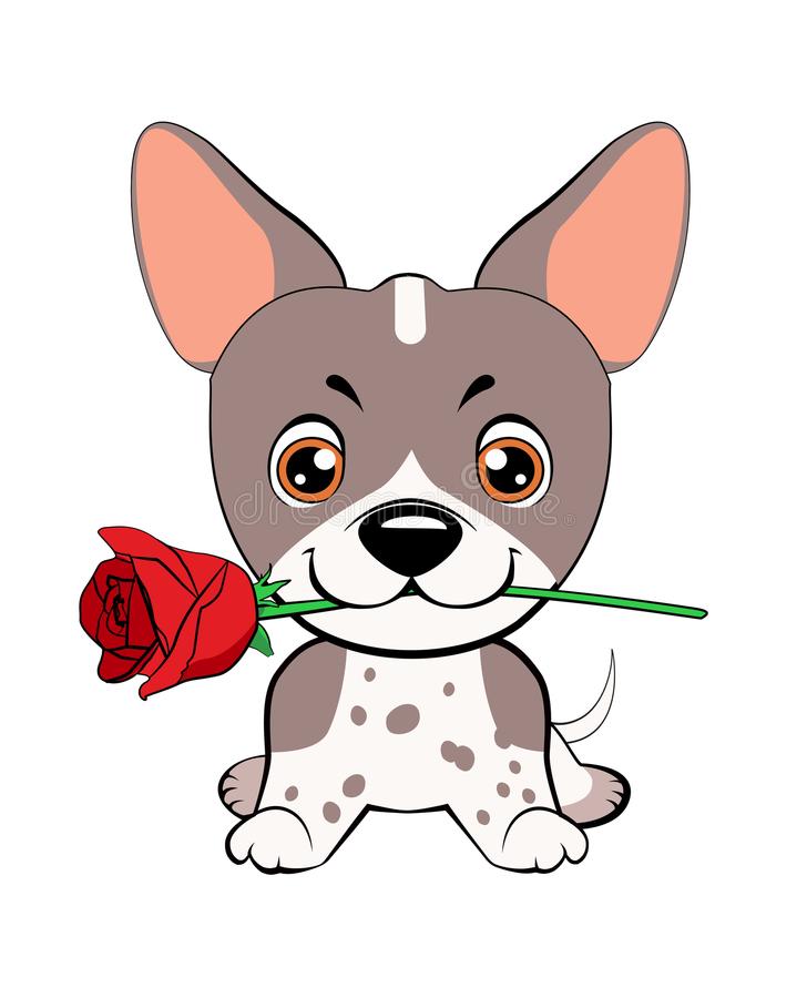 kaiyun开云官方在线登录:贺州市投资促进和商务局工作组到我县开展2019年外商投资企业服务月活动(图3) kaiyun开云官方在线登录