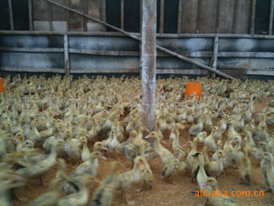 kaiyun开云官方在线登录