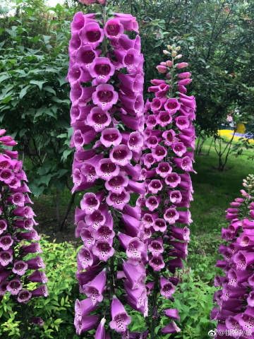 kaiyun开云网页版